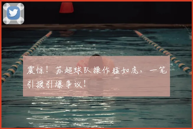 震惊！苏超球队操作猛如虎，一笔引援引爆争议！