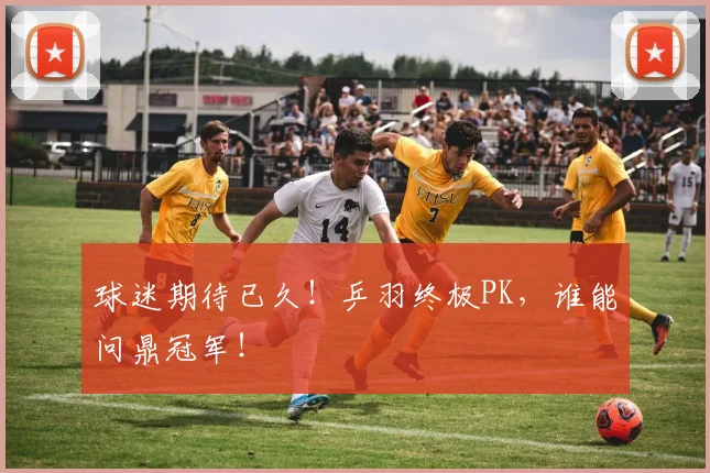 球迷期待已久！乒羽终极PK，谁能问鼎冠军！